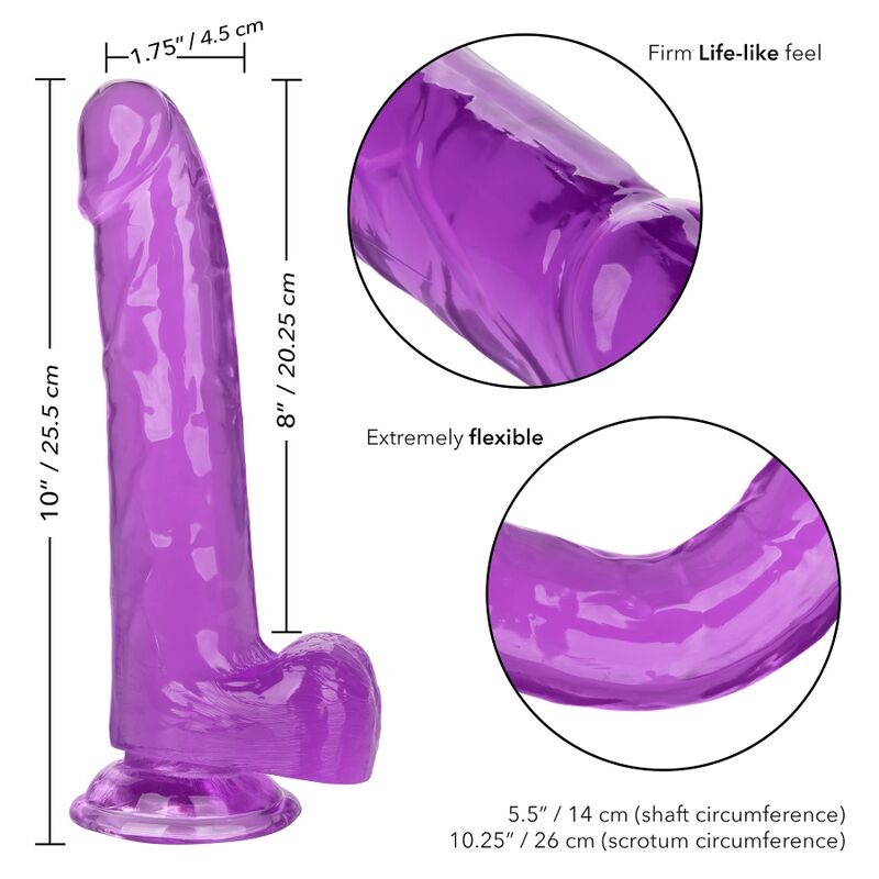 CALEXOTICS - SIZE QUEEN DILDO PURPLE 20.3 CM - Imagem de 5