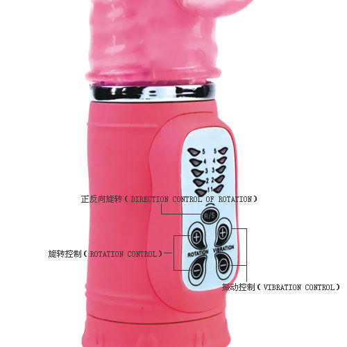 BAILE - CUTE PASSION BUNNY RAMPANTE 10F 27 CM - Imagem de 3