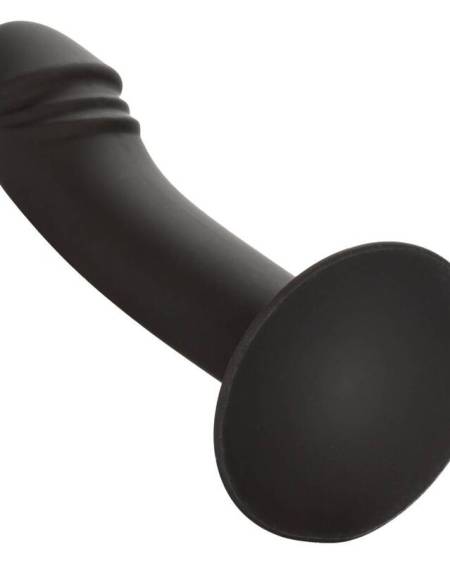CALEXOTICS - CURVED ANAL STUD