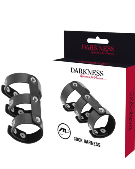 DARKNESS - ADJUSTABLE LEATHER DOUBLE PENIS AND TESTICLE RING