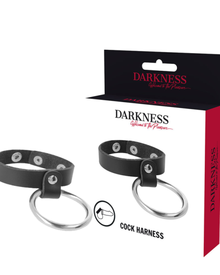 DARKNESS - METAL RING FOR THE PENIS AND TESTICLES