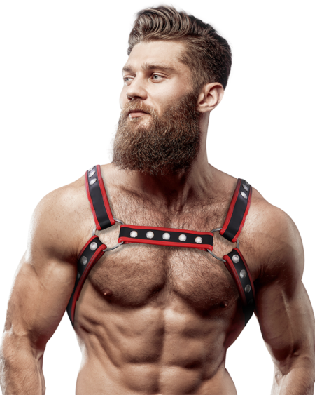 FETISH SUBMISSIVE ATTITUDE - MENS ECO-LEATHER CHEST BULLDOG HARNESS BLACK/RED