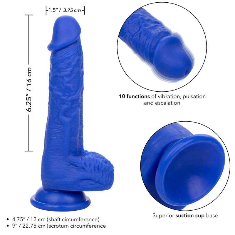 CALEXOTICS - ADMIRAL SAILOR REALISTIC DILDO VIBRATOR BLUE - Imagem de 4