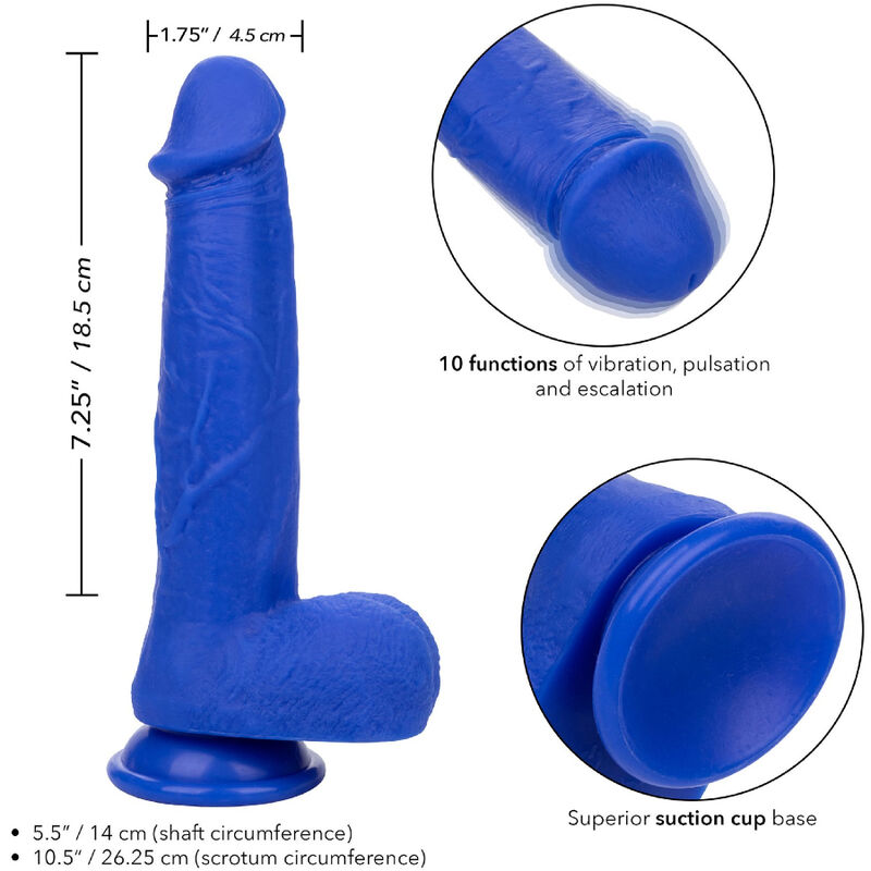 CALEXOTICS - ADMIRAL CAPTAIN REALISTIC DILDO VIBRATOR BLUE - Imagem de 4