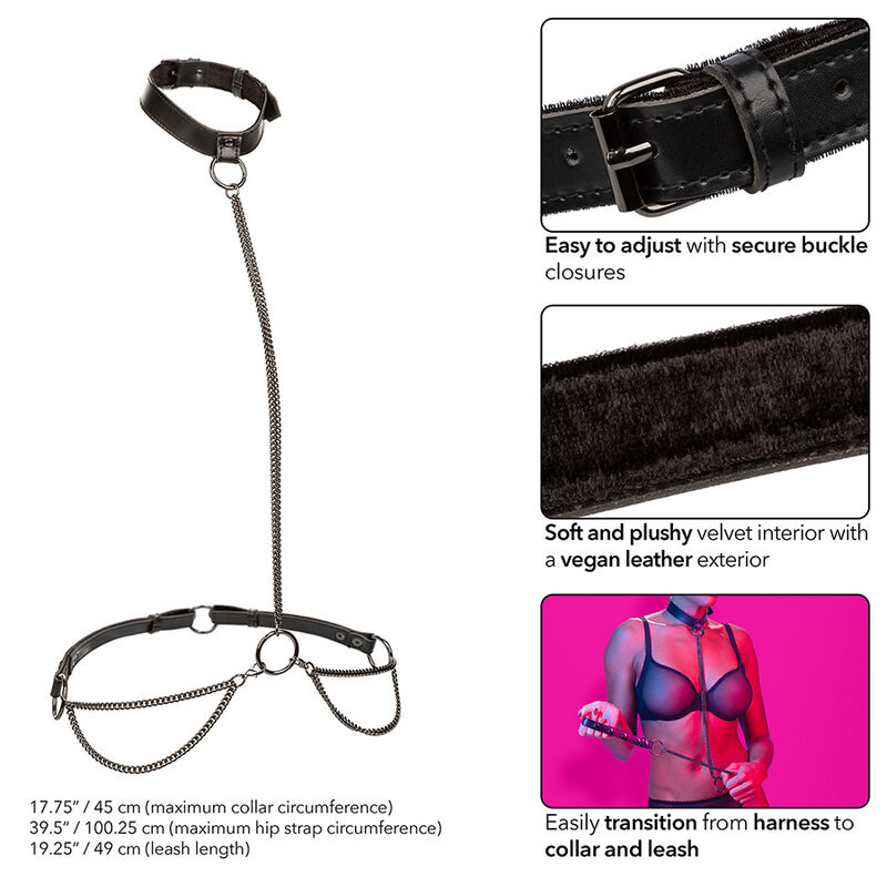 CALEXOTICS - EUPHORIA CHAIN HALTER COLLAR LEASH - Imagem de 3