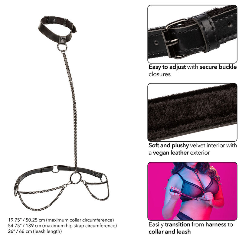 CALEXOTICS - EUPHORIA CHAIN HALTER COLLAR LEASH PLUS SIZE - Imagem de 5