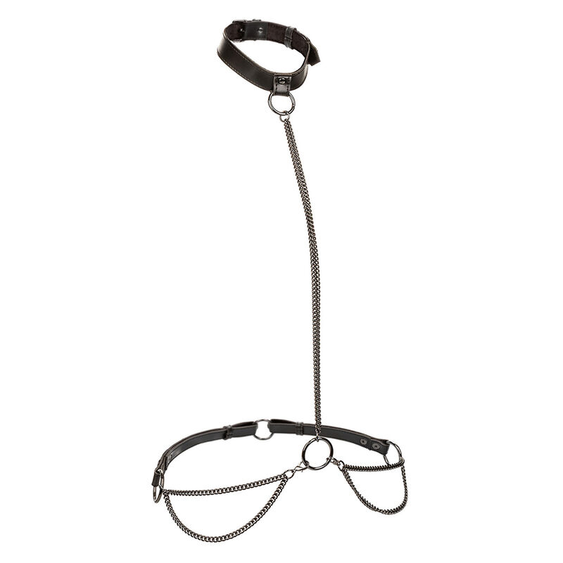 CALEXOTICS - EUPHORIA CHAIN HALTER COLLAR LEASH PLUS SIZE - Imagem de 2