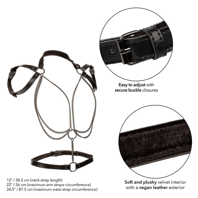 CALEXOTICS - EUPHORIA MULTICHAIN HALTER HARNESS PREMIUM - Imagem de 3