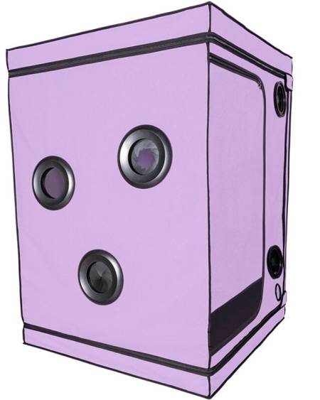 SECRET DOME - KINK CLUB CABIN SCANDALE PURPLE