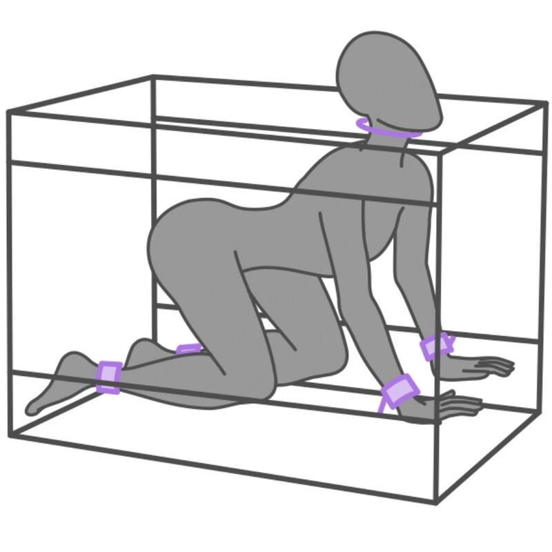 SECRET DOME - KINK CLUB LA NICHE CABIN PURPLE - Imagem de 4