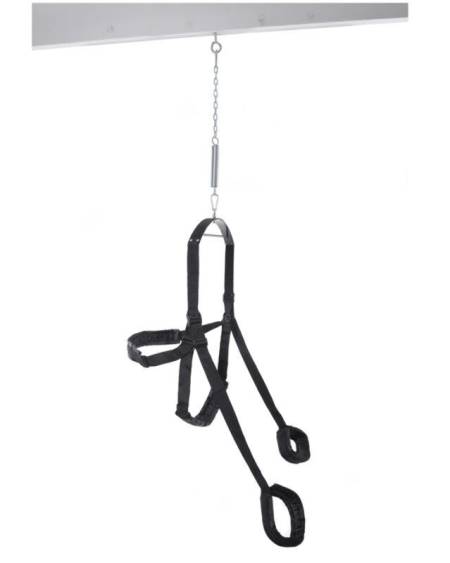 FETISH FANTASY SERIES - BLACK FANTASY SWING SEX SWING