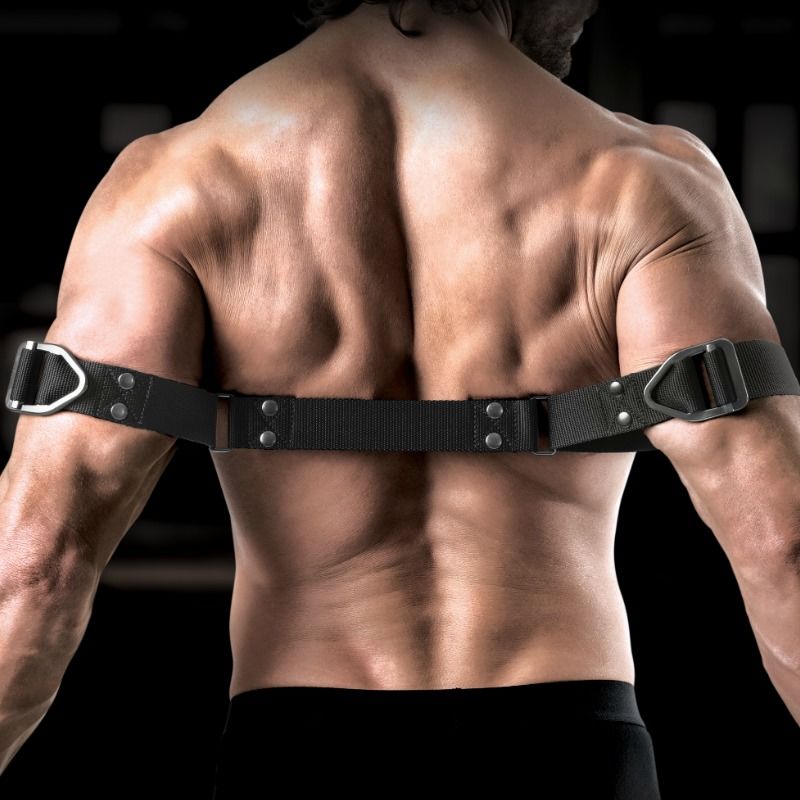SIR RICHARDS - COMMAND BICEPS BENDER - Imagem de 4