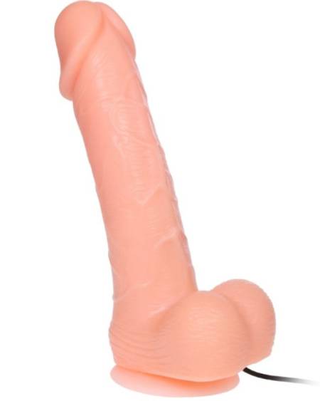 BAILE - REALISTIC DILDO DONG VIBRATION AND ROTATION 20 CM